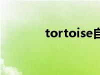 tortoise自然拼读 tortoise 