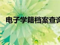 电子学籍档案查询入口 电子学籍档案查询 