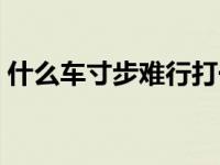 什么车寸步难行打一个数字 什么车寸步难行 