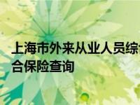 上海市外来从业人员综合保险怎么查询 上海外来从业人员综合保险查询 