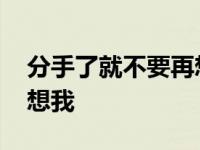 分手了就不要再想我扎心版 分手了就不要再想我 