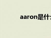 aaron是什么意思 aaronmilo 