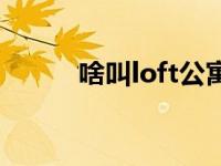 啥叫loft公寓 loft公寓什么意思 