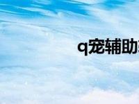 q宠辅助软件 q宠物外挂 