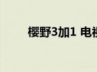 樱野3加1 电视剧主题曲 樱野3加1 