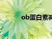 ob蛋白素减肥原理 ob蛋白素 