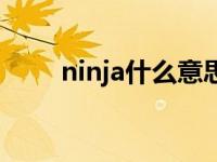 ninja什么意思中文 ninja什么意思 