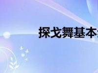 探戈舞基本步教学分解 探戈舞 