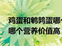 鸡蛋和鹌鹑蛋哪个营养价值高 鹌鹑蛋和鸡蛋哪个营养价值高 