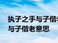 执子之手与子偕老意思相近的句子 执子之手与子偕老意思 