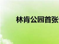 林肯公园首张专辑 林肯公园新专辑 