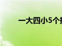 一大四小5个摄像头手机 一大四小 