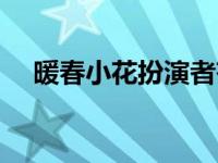 暖春小花扮演者齐如意 暖春小花扮演者 