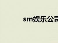 sm娱乐公司市值 sm娱乐公司 