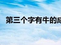 第三个字有牛的成语 第三个字是牛的成语 