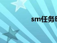 sm任务Excel表 sm任务 