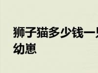 狮子猫多少钱一只正常价 狮子猫多少钱一只幼崽 