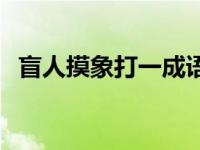 盲人摸象打一成语成语 盲人摸象打一成语 