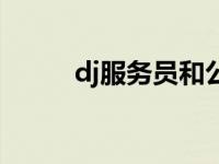 dj服务员和公主的区别 dj服务员 