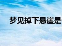 梦见掉下悬崖是什么意思 梦见掉下悬崖 