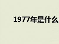 1977年是什么命格 1977年是什么命 