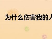 为什么伤害我的人没有报应 为什么伤害我 