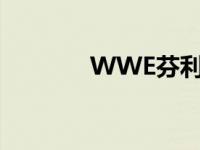 WWE芬利担架赛 wwe芬利 