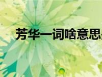 芳华一词啥意思是什么 芳华什么意思啊 