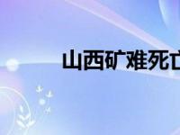 山西矿难死亡200余人 山西矿难 