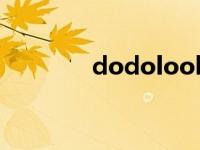 dodolook百科 dodolook 