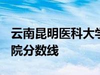 云南昆明医科大学录取分数线2021 昆明医学院分数线 