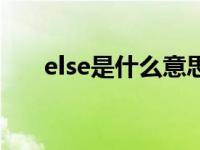 else是什么意思英语 else是什么意思 