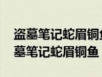 盗墓笔记蛇眉铜鱼怎么会出现在拍卖会的 盗墓笔记蛇眉铜鱼 