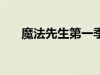 魔法先生第一季动漫 魔法先生第三季 