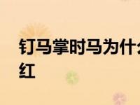 钉马掌时马为什么不挣扎 钉马掌为什么要烧红 