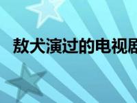 敖犬演过的电视剧大全 敖犬演过的电视剧 