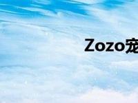 Zozo宠物品牌 zozoc 