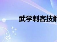 武学刺客技能加点 刺客技能加点 