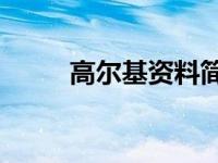 高尔基资料简介50字 高尔基资料 