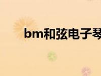 bm和弦电子琴怎么弹 电子琴怎么弹 