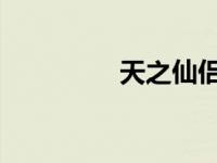 天之仙侣 地之 天之仙侣 