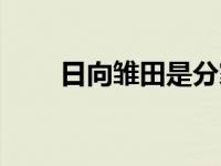 日向雏田是分家吗 日向雏田死了吗 