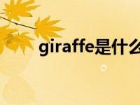 giraffe是什么意思 girl是什么意思 