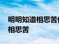 明明知道相思苦偏偏为你牵肠挂肚 明明知道相思苦 