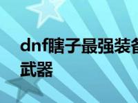 dnf瞎子最强装备搭配2021 dnf瞎子用什么武器 