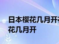 日本樱花几月开花最佳时间是几月份 日本樱花几月开 