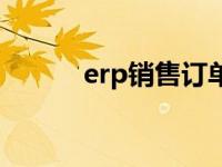 erp销售订单处理流程 erp销售 