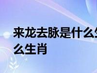 来龙去脉是什么生肖正确答案 来龙去脉是什么生肖 