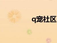 q宠社区小游戏 q宠社区 