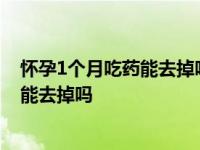 怀孕1个月吃药能去掉吗.阜阳百佳怎么联系 怀孕1个月吃药能去掉吗 